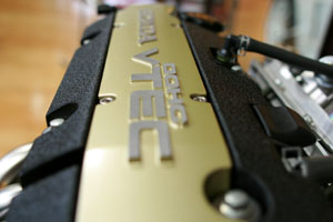 0714 enzin IMG_0159.jpg